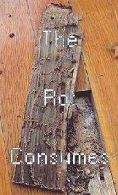 Image of Termite infested wood with the label 'The rot consumes wirtten over it'